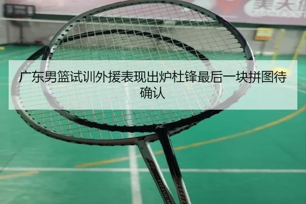 广东男篮试训外援表现出炉杜锋最后一块拼图待确认